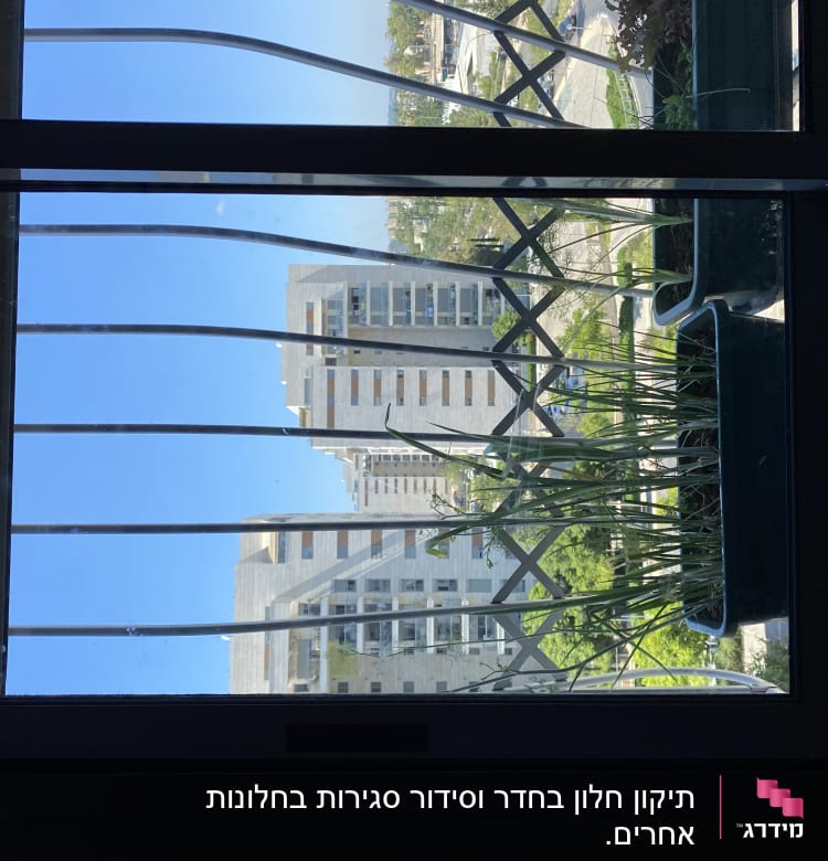 חלון אלומיניום עם סורגים וצמחים בעציץ